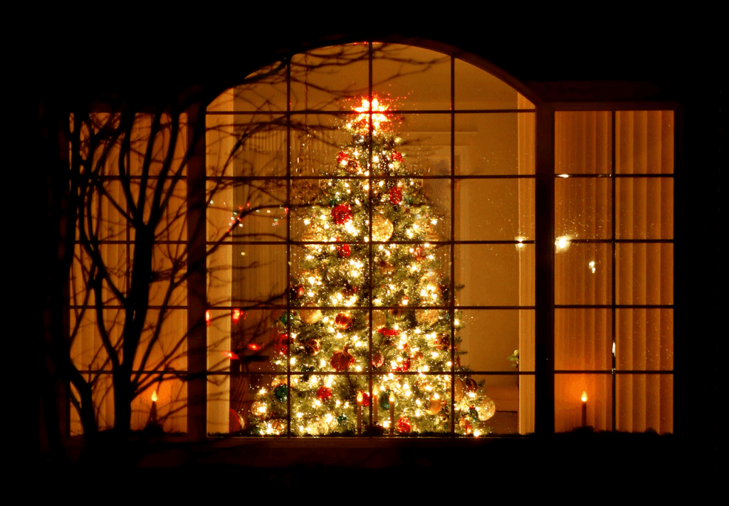 A Christmas Tree Near the Window